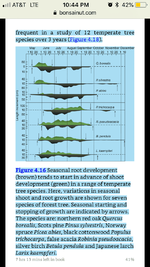 root vs foliar growth chart.png