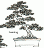 StylesOfBonsai.gif