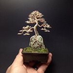 Wire-Bonsai-Tree-by-Ken-To-on-Rock.jpg