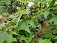 IMG_20220603_113654.jpg