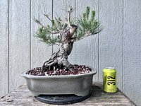 9D172747-B780-42C4-B406-AE596B6C4908.jpeg