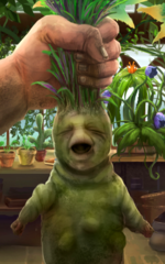 Mandrake.png