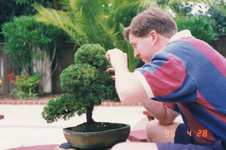 1996_04_bonsai-work.jpg