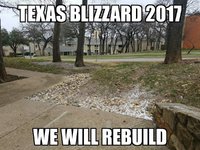 texaswinter.jpg