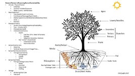 Bonsai System diagram.jpg