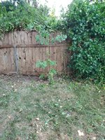 20220813_200543.jpg