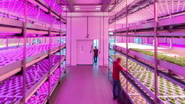 vertical-farming-climate-chamber.jpg