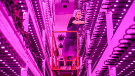 vertical-farming-warehouse-farm.jpg