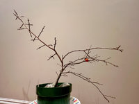 IMG_2263.jpeg
