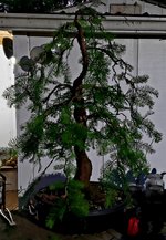 20230416_210749.jpg