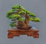 BONSAI_ASZTAL_watercolor_paint_style_0.jpg