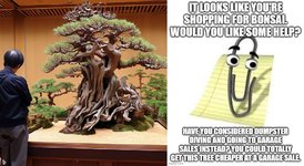 shopping for bonsai2.jpg