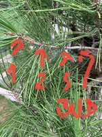 8F8515A5-095A-4F3B-B5C8-65A6DA65F5DF.jpeg