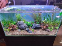 my tank1.jpg