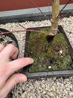 IMG_1293.jpeg