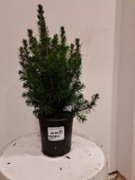 20240128_211306.jpg