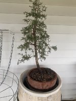 IMG_3819.jpeg
