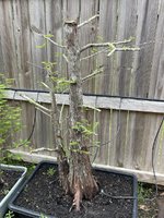 IMG_1671.jpeg