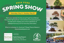 PSBA-SpringShowFlyer-V1.jpg