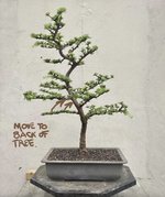 IMG_6609.jpeg
