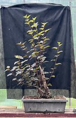 IMG_1725.jpeg