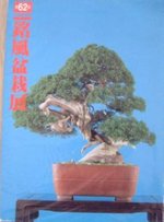 juniperus chinensis tortillon 2 meifu 62 (1992).JPG