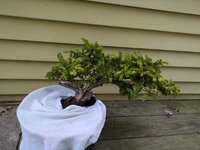 PXL_20240727_220113447.jpg