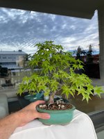 IMG_9343.jpeg