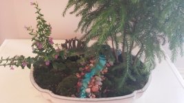 fairy garden.jpg