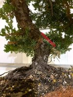 IMG_E7300.JPG
