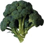 broccoli-florets.jpg