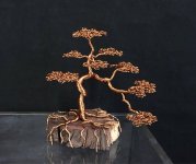 Wire Bonsai.jpg