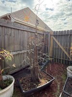 IMG_7195.jpeg