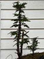 IMG_7475.jpeg