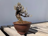 IMG_3209.jpeg