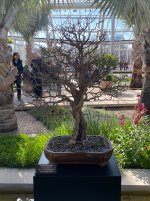 IMG_3557.jpeg