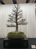 IMG_1379.jpeg