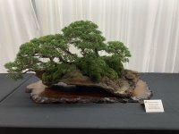 IMG_1381.jpeg