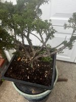 IMG_1660.jpeg