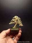 exhibition_grade_gold_wire_bonsai_tree_by_ken_to_by_kentoart-d7znbtj.jpg