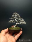 large_exhibition_grade_wire_bonsai_tree_by_ken_to_by_kentoart-d7yquhu.jpg