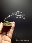 windswept_wire_bonsai_tree_by_ken_to_by_kentoart-d6pnx57.jpg