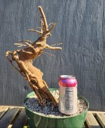 1000063020.jpg
