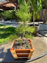 IMG_7975.jpeg