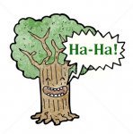 laughing-tree 02.jpg