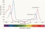 LightInLakesChlorophyllChart.gif