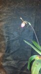 IMG_20160224_200554_935.jpg