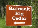 quinault-big-cedar.jpg