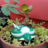 torturtle_park