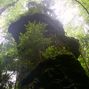 Natural rock planting